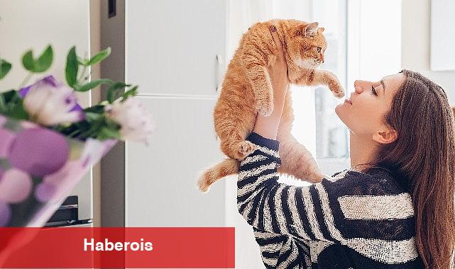 Ruhsal Bağışıklığı Güçlü Tutmak İçin 9 Öneri - Haberois Ruhsal Bağışıklığı Güçlü Tutmak İçin 9 Öneri