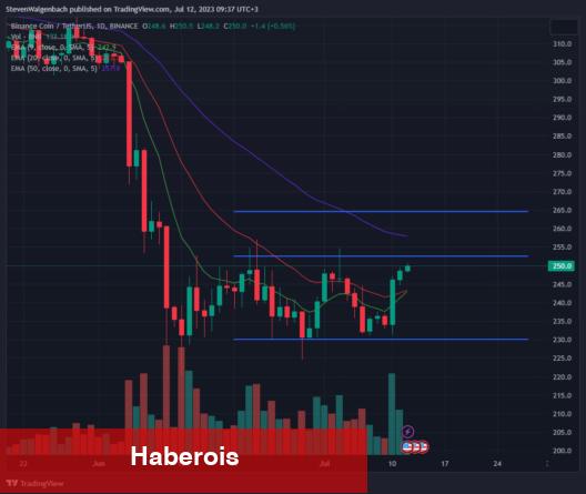 Santiment ‘Bu 3 Altcoin’e Bakın’ Dedi! Varsayım Yaptı!