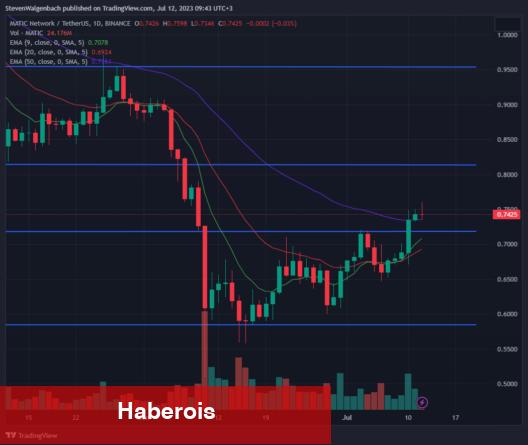 Santiment ‘Bu 3 Altcoin’e Bakın’ Dedi! Varsayım Yaptı!