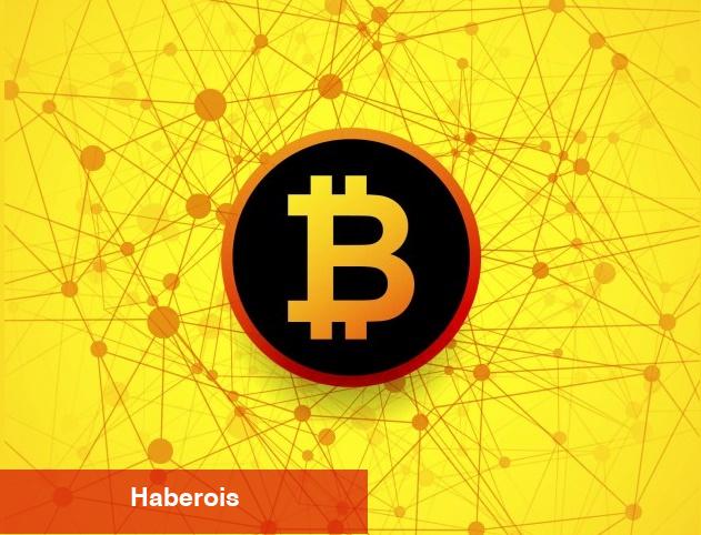 SHIB Değil: Ünlü İsim Kripto Para Portföyünü Açıkladı