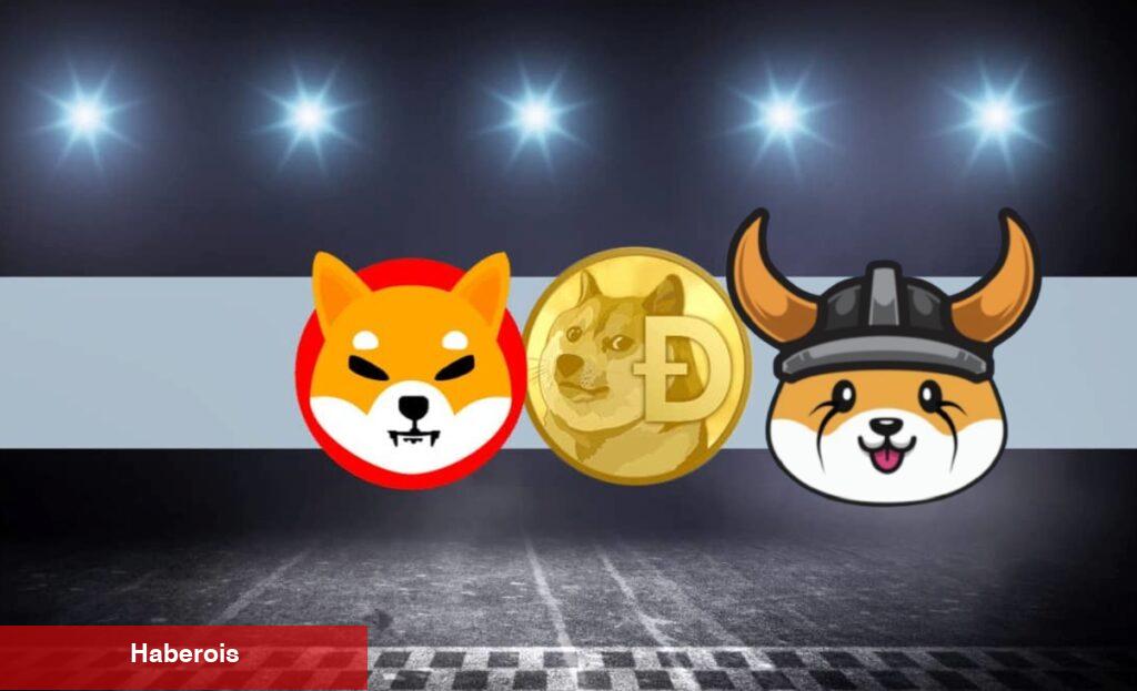 SHIB, DOGE Değil! Bu Göğüs Coin İştirak Duyurdu! - Haberois SHIB, DOGE Değil! Bu Göğüs Coin İştirak Duyurdu!