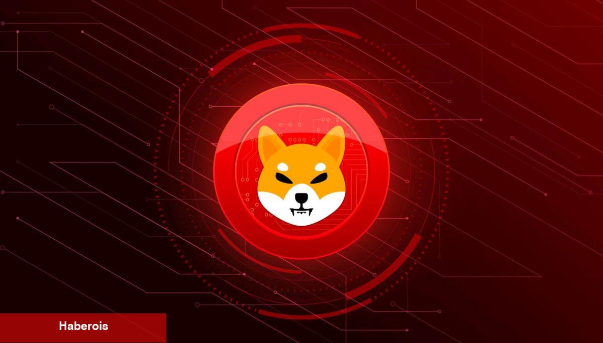 SHIB, LTC, XRP, BTC, STG ve ADA: Sıradaki Düzeyler Bunlar!