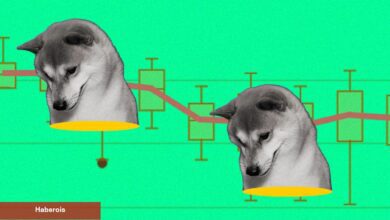 SHIB Sıfıra mı Gidiyor? Balinalar Coin Taşıyor!