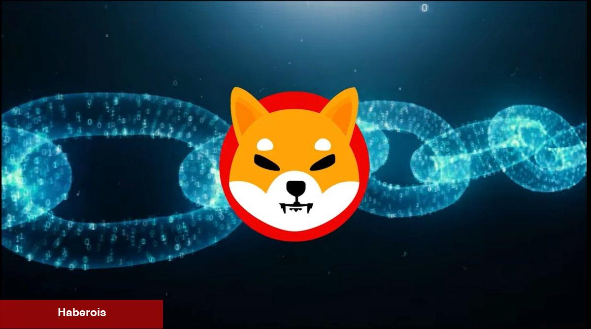 SHIB ve Ripple İçin Çılgın İddialar: Yüzde 2.550 Artış!
