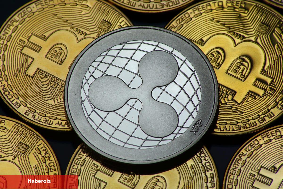 SHIB ve Ripple İçin Çılgın İddialar: Yüzde 2.550 Artış!