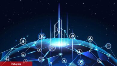 SHIB ve Ripple İçin Çılgın İddialar: Yüzde 2.550 Artış!