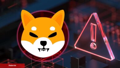 Shiba Inu (SHIB) Uyarısı: Yeni Dolandırıcılık Ortaya Çıktı!