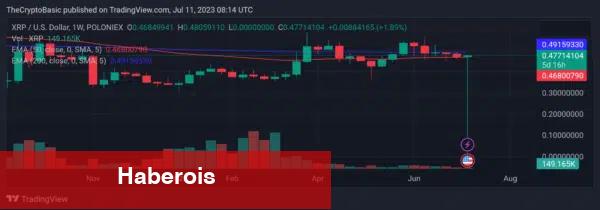 Şok Edici Gelişme: Türklerin Sepetindeki Altcoin Sıfıra Düştü! - Haberois Şok Edici Gelişme: Türklerin Sepetindeki Altcoin Sıfıra Düştü!