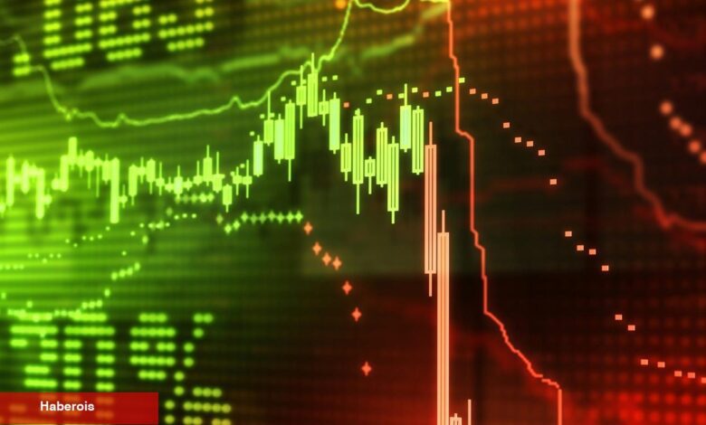 Şok Edici Gelişme: Türklerin Sepetindeki Altcoin Sıfıra Düştü! - Haberois Şok Edici Gelişme: Türklerin Sepetindeki Altcoin Sıfıra Düştü!