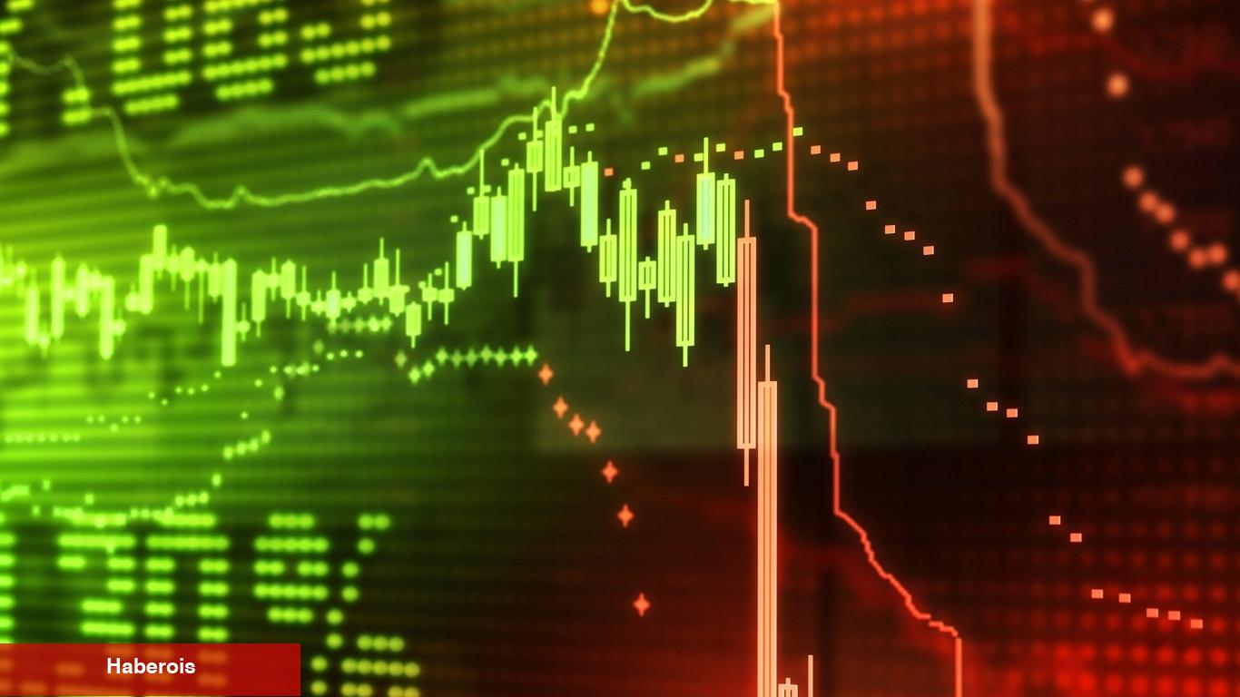 Şok Edici Gelişme: Türklerin Sepetindeki Altcoin Sıfıra Düştü!