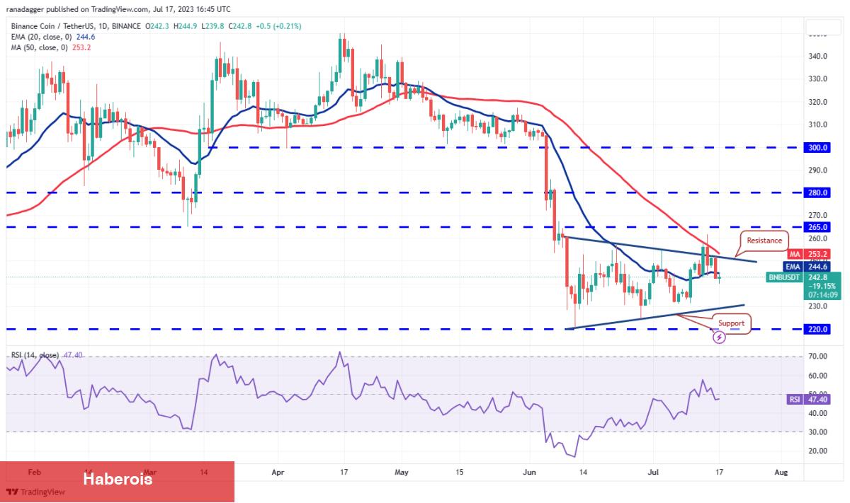 SOL, ADA, DOGE, BTC ve Bu 4 Coin İçin Al-Sat Seviyeleri!