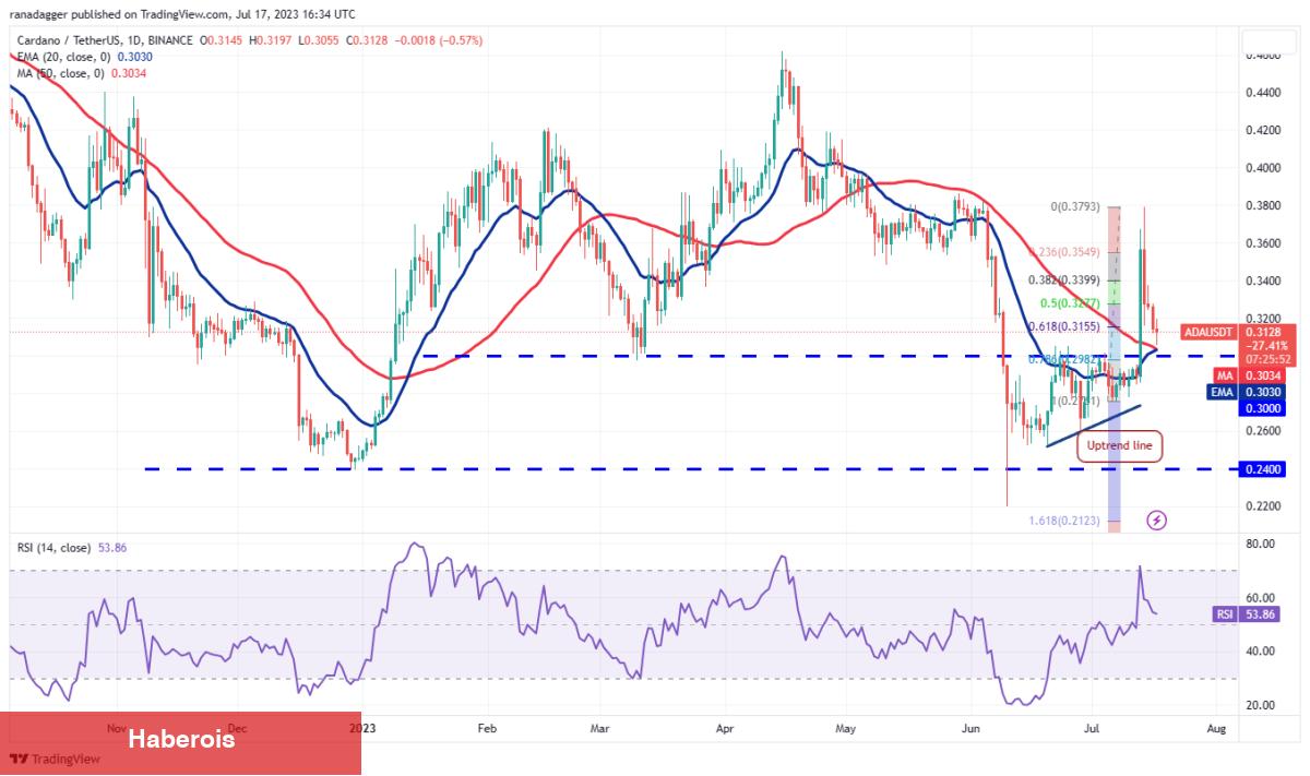 SOL, ADA, DOGE, BTC ve Bu 4 Coin İçin Al-Sat Seviyeleri!