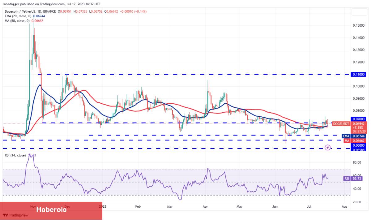 SOL, ADA, DOGE, BTC ve Bu 4 Coin İçin Al-Sat Seviyeleri!