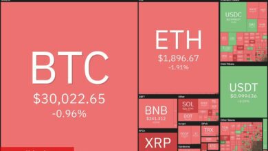 SOL, ADA, DOGE, BTC ve Bu 4 Coin İçin Al-Sat Seviyeleri!
