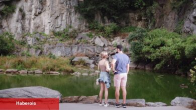 Sorunlu Bir Geçmişe Sahip Bir Manhattan Parkında, Gelecek Vaat Eden Bir Araştırma Sahası
