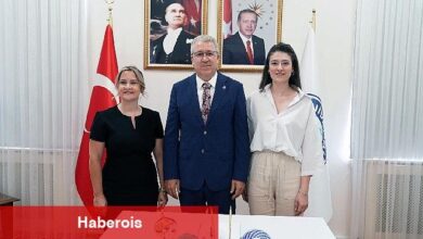 Sosyal bilimcilerden "sandviç kuşağına" yönelik önemli araştırma