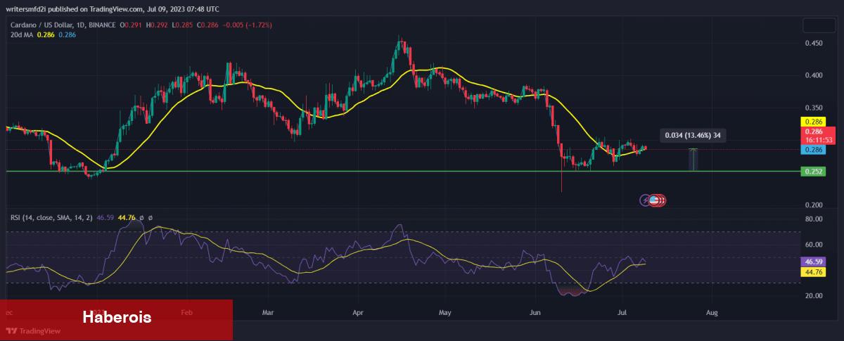Taban Avcıları Dikkat: Temmuz’da Toplanacak 5 Altcoin Bunlar! - Haberois Taban Avcıları Dikkat: Temmuz’da Toplanacak 5 Altcoin Bunlar!