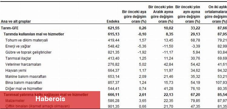 Tarım-GFE yıllık yüzde 33,22 arttı