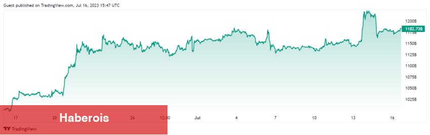 Trader Bu Altcoinler ile Çılgın Kârlar Yaptı! İşte Stratejileri - Haberois Trader Bu Altcoinler ile Çılgın Kârlar Yaptı! İşte Stratejileri