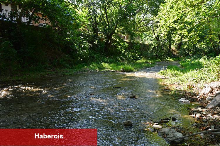 Türk bilim insanları yeni bir parazit çeşidi keşfetti