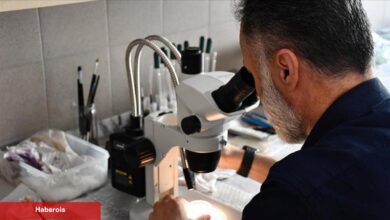 Türk bilim insanları yeni bir parazit çeşidi keşfetti