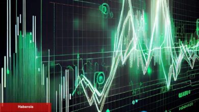 Türklerin Aldığı Altcoin İçin ‘Sahte Faaliyet’ İddiası!
