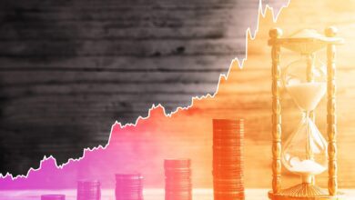 Türklerin Sepetindeki Altcoin Tek Haberle Pik Yaptı!