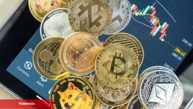 Ünlü CEO: Binance’in Listelediği Bu Altcoin Bir Dolandırıcılık!