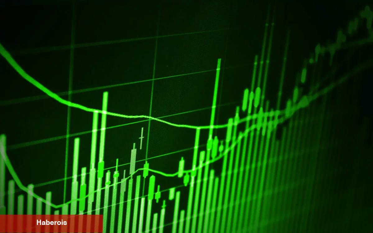 Ünlü Ekonomist Savlı: Bu Altcoin 20x Yapacak! - Haberois Ünlü Ekonomist Savlı: Bu Altcoin 20x Yapacak!