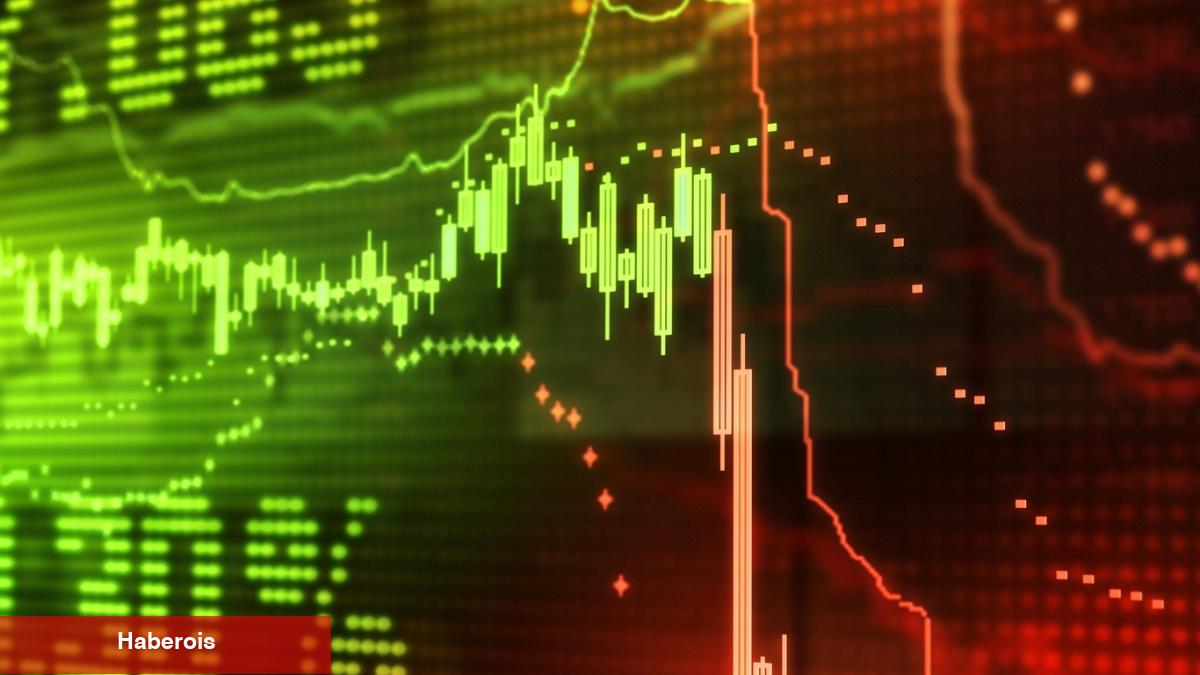 Ünlü Ekonomist Savlı: Bu Altcoin 20x Yapacak! - Haberois Ünlü Ekonomist Savlı: Bu Altcoin 20x Yapacak!