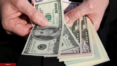 Ünlü Ekonomist: Trilyonlar, Altcoin Piyasasına Akacak!