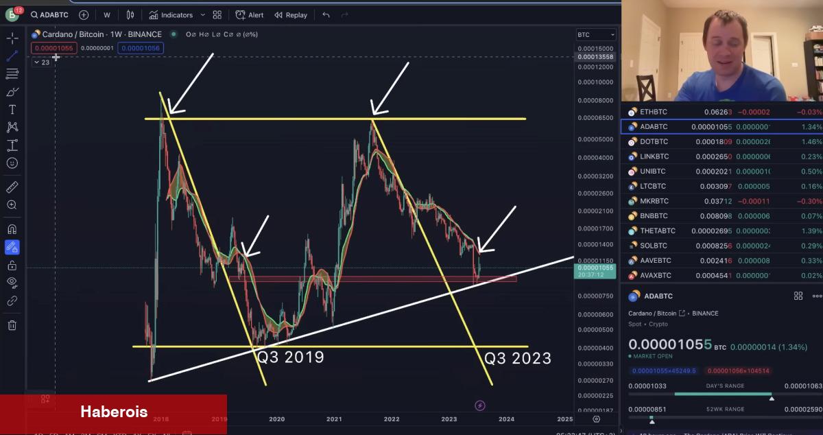 Uzman Uyarısı: Bu 4 Altcoin Sert Satışlar Görebilir!
