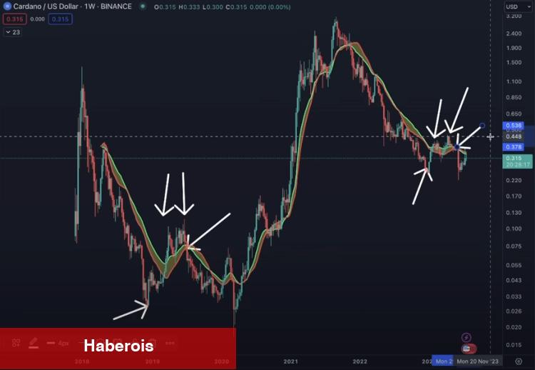 Uzman Uyarısı: Bu 4 Altcoin Sert Satışlar Görebilir!