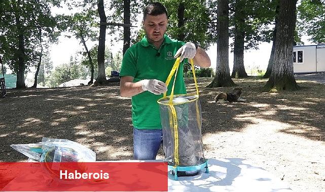 Vektör mücadelesinde karasinek tuzağı - Haberois Vektör mücadelesinde karasinek tuzağı