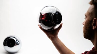 Worldcoin Bomba Tesir Yaptı! Bu Altcoin’den Bir Birinci