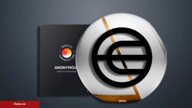 Worldcoin (WLD) Çılgınlığı: Bilmeniz Gereken Her Şey!