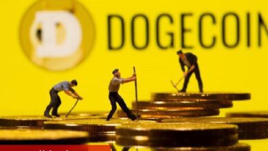 XRP mi DOGE mi: Elon Musk, X platformu için hangi kripto parayı seçecek?