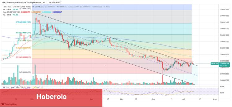 ‘Yap ya da Öl Anı’ Bu 7 Altcoin İçin Dikkat! - Haberois ‘Yap ya da Öl Anı’ Bu 7 Altcoin İçin Dikkat!