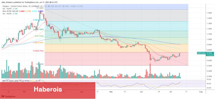 ‘Yap ya da Öl Anı’ Bu 7 Altcoin İçin Dikkat! - Haberois ‘Yap ya da Öl Anı’ Bu 7 Altcoin İçin Dikkat!
