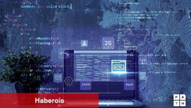 Yazılımın ekosistemini büyüteceğiz, Türkiye'nin küresel dijital ekonomideki payını artıracağız