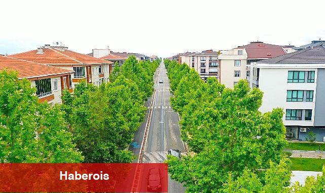 "Yıllar önce dikilen ağaçlar yeşil koridor oluşturdu" - Haberois "Yıllar önce dikilen ağaçlar yeşil koridor oluşturdu"