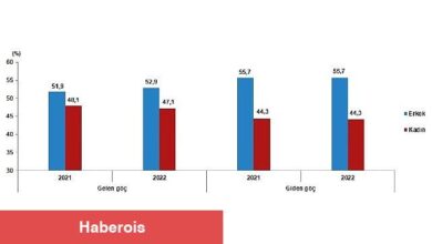 Yurt dışından Türkiye'ye 494 bin 52 kişi göç etti