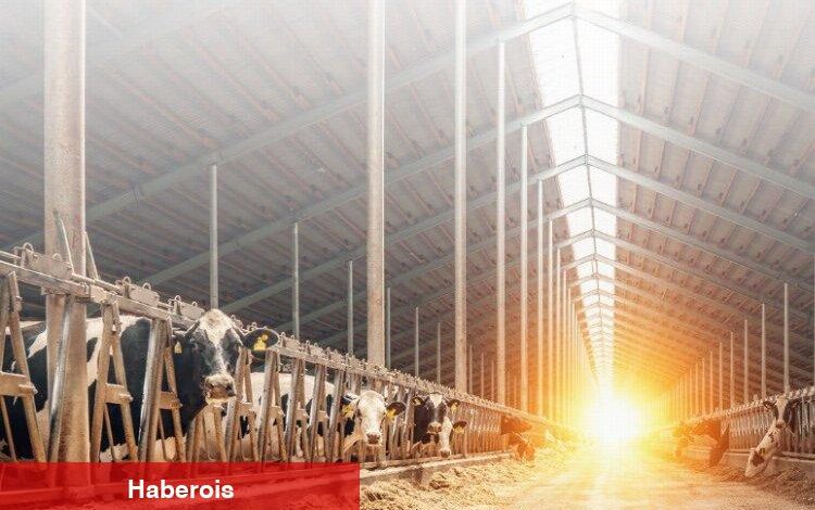 20 milyon Euro hibe desteği! - Haberois 20 milyon Euro hibe desteği!
