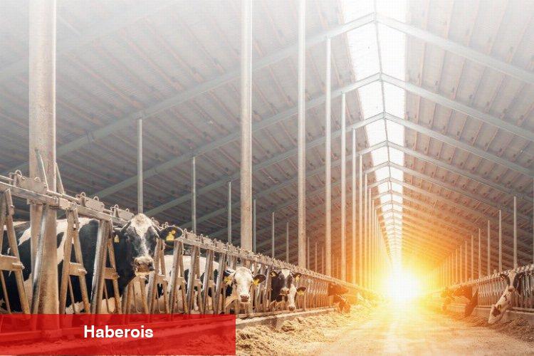 20 milyon Euro hibe desteği!
