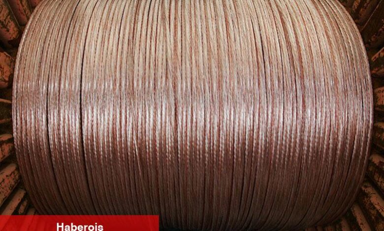 ABD'nin kredi notunun düşmesiyle değerli metallerde hareketlilik yaşanıyor - Haberois ABD'nin kredi notunun düşmesiyle değerli metallerde hareketlilik yaşanıyor
