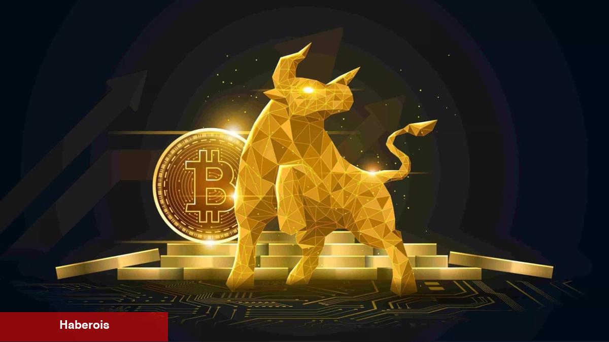 Açıklandı: Bitcoin Boğa Piyasası Bu Tarihte Olabilir!