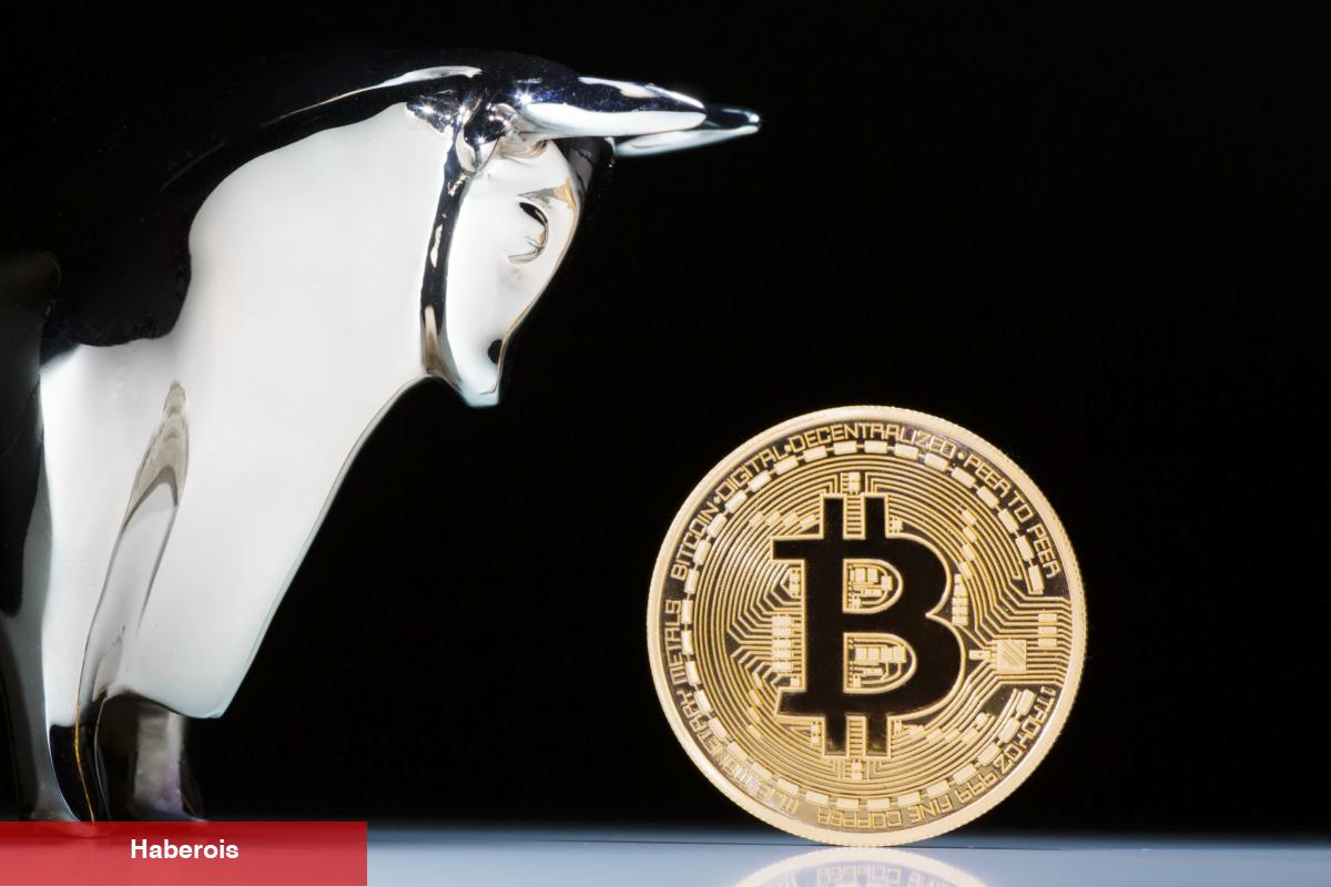Açıklandı: Bitcoin Boğa Piyasası Bu Tarihte Olabilir!