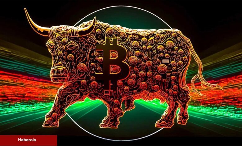 Açıklandı: Bitcoin Boğa Piyasası Bu Tarihte Olabilir! - Haberois Açıklandı: Bitcoin Boğa Piyasası Bu Tarihte Olabilir!