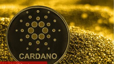 ADA balinaları hareketlendi: Cardano DeFi’de yeni zirvelere ulaşıyor