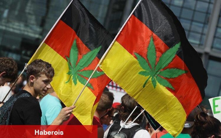 Almanya'da esrara 'denetimli serbestlik' testi - Haberois Almanya'da esrara 'denetimli serbestlik' testi